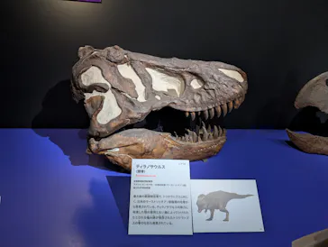 特別展「大絶滅展―生命史のビッグファイブ」に投稿された画像（2026/2/6）