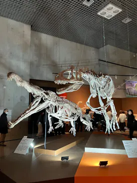 特別展「大絶滅展―生命史のビッグファイブ」に投稿された画像（2026/2/6）