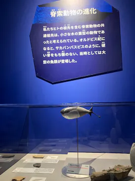 特別展「大絶滅展―生命史のビッグファイブ」に投稿された画像（2026/2/6）