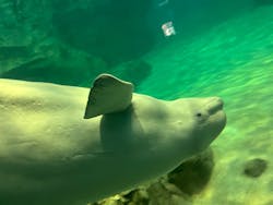 名古屋港水族館に投稿された画像（2026/2/6）