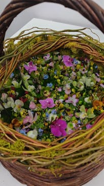 世界らん展2026-花と緑の祭典-に投稿された画像（2026/2/6）