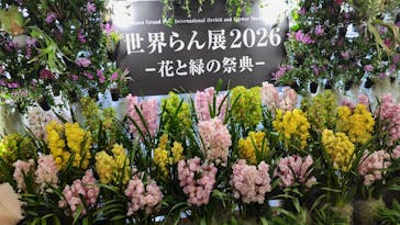 世界らん展2026-花と緑の祭典-に投稿された画像（2026/2/6）