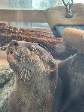 AQUARIUM × ART　atoaに投稿された画像（2026/2/6）