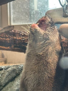 AQUARIUM × ART　atoaに投稿された画像（2026/2/6）