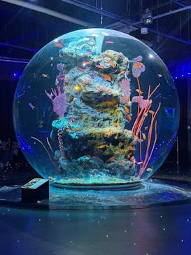 AQUARIUM × ART　atoaに投稿された画像（2026/2/6）