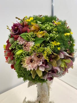 世界らん展2026-花と緑の祭典-に投稿された画像（2026/2/6）