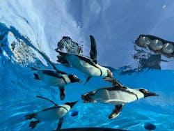 サンシャイン水族館に投稿された画像（2026/2/6）