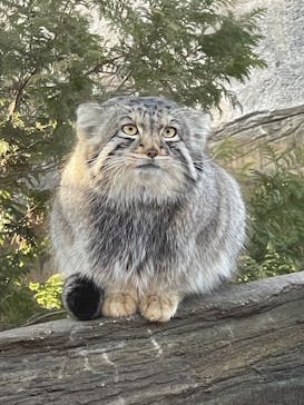 那須どうぶつ王国に投稿された画像（2026/2/7）