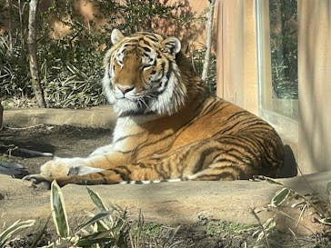 那須どうぶつ王国に投稿された画像（2026/2/7）