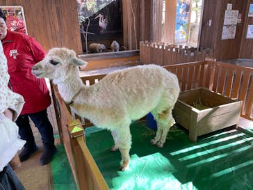 那須どうぶつ王国に投稿された画像（2026/2/7）