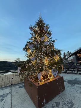 ムーミンバレーパークに投稿された画像（2026/2/7）