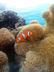 MONKEY NAVYに投稿された画像（2026/2/7）