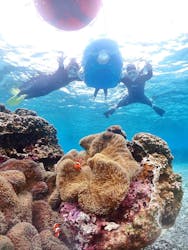 MONKEY NAVYに投稿された画像（2026/2/7）