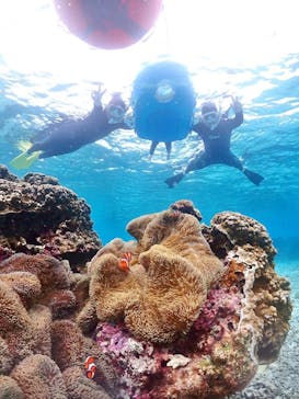 MONKEY NAVYに投稿された画像（2026/2/7）