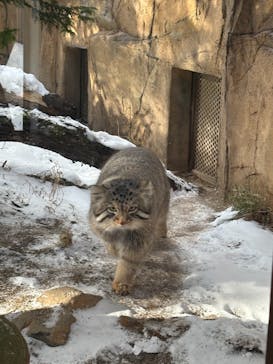 那須どうぶつ王国に投稿された画像（2026/2/7）