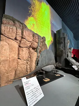 特別展「大絶滅展―生命史のビッグファイブ」に投稿された画像（2026/2/7）