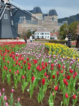 ハウステンボスに投稿された画像（2026/2/7）