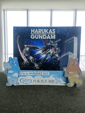 ハルカス300(展望台)に投稿された画像（2026/2/7）