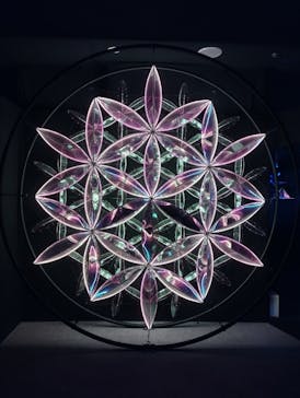 NARA KINGYO MUSEUMに投稿された画像（2026/2/7）