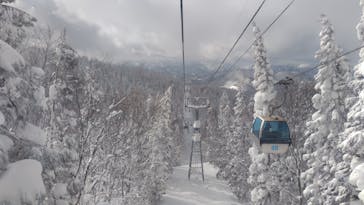 阿仁スキー場に投稿された画像（2026/2/7）