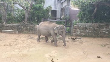 沖縄こどもの国に投稿された画像（2026/2/7）