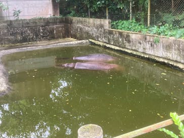 沖縄こどもの国に投稿された画像（2026/2/7）