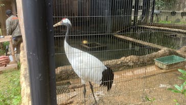 沖縄こどもの国に投稿された画像（2026/2/7）