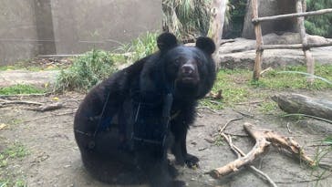 沖縄こどもの国に投稿された画像（2026/2/7）