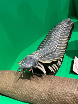 特別展「大絶滅展―生命史のビッグファイブ」に投稿された画像（2026/2/7）