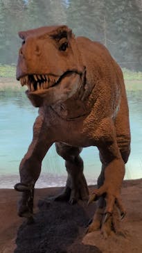 福井県立恐竜博物館に投稿された画像（2026/2/7）