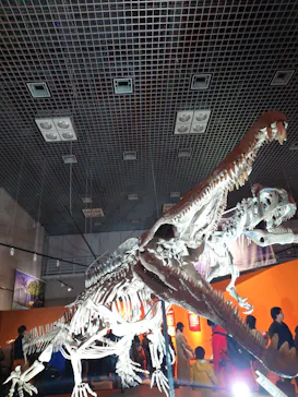 特別展「大絶滅展―生命史のビッグファイブ」に投稿された画像（2026/2/7）