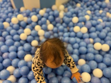 キッズランドUS mini 東京浅草店に投稿された画像（2026/2/7）