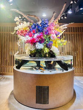 スマートアクアリウム静岡に投稿された画像（2026/2/7）