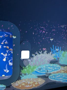 新江ノ島水族館に投稿された画像（2026/2/7）