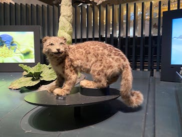 国立科学博物館に投稿された画像（2026/2/7）