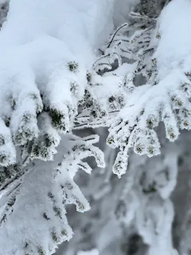 蔵王ロープウェイに投稿された画像（2026/2/7）