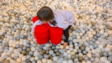 東京国立博物館に投稿された画像（2026/2/7）