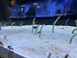 すみだ水族館に投稿された画像（2026/2/7）