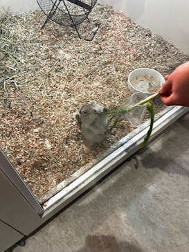 アニタッチPARKイオンモール太田に投稿された画像（2026/2/7）