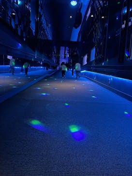 すみだ水族館に投稿された画像（2026/2/7）