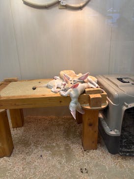 アニタッチ MARK IS 静岡に投稿された画像（2026/2/7）