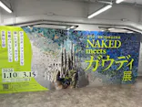 NAKED meets ガウディ展に投稿された画像（2026/1/31）