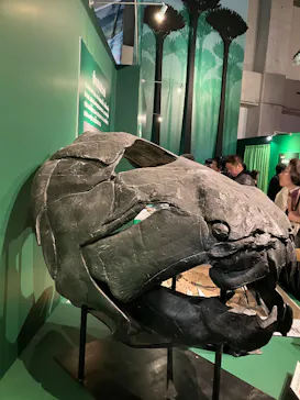 特別展「大絶滅展―生命史のビッグファイブ」に投稿された画像（2026/2/7）