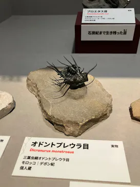 特別展「大絶滅展―生命史のビッグファイブ」に投稿された画像（2026/2/7）