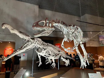 特別展「大絶滅展―生命史のビッグファイブ」に投稿された画像（2026/2/7）