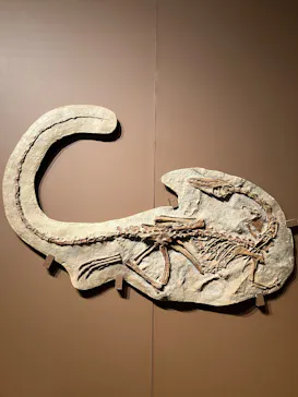 特別展「大絶滅展―生命史のビッグファイブ」に投稿された画像（2026/2/7）