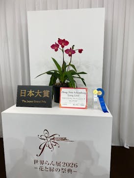 世界らん展2026-花と緑の祭典-に投稿された画像（2026/2/7）