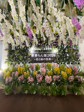世界らん展2026-花と緑の祭典-に投稿された画像（2026/2/7）