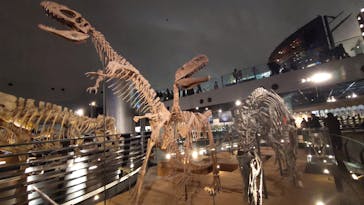 福井県立恐竜博物館に投稿された画像（2026/2/7）