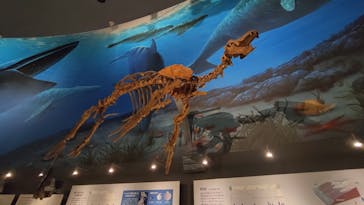 福井県立恐竜博物館に投稿された画像（2026/2/7）